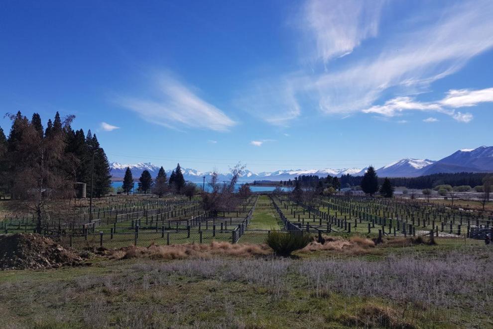 Tekapo Retreat Holiday home *